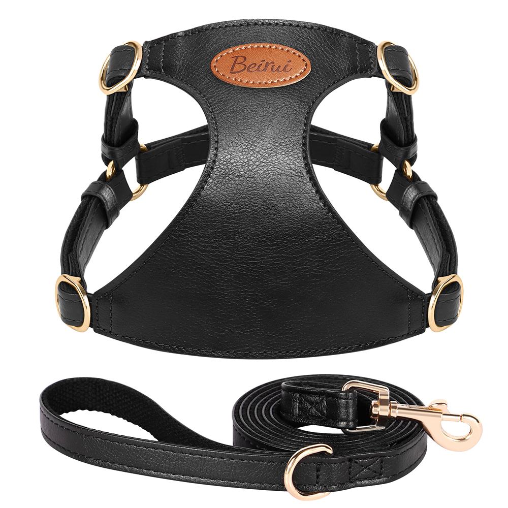 Cute Step-In PU Leather Dog Harness & Leash Set Adjustable Pet Puppy Walking Vest Lead for Small Medium Dogs