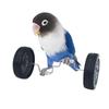 Papagei Roller Skateboard Trainingsspielzeug für kleine und mittelgroße Vögel