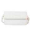Trendy 2023 Spring Summer Casual Small Shoulder Bag For Women Simple Stylish Design
