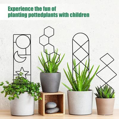 Plant Support Reusable Flower Shaping Ivy Support No Deformation Stainless Plant Climbing Anti-slip Plant Climbing Sturdy Plant Plant Support Stakes