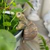 Planter Figurine, Plant Planter Gecko Hanging - Decorative Patio Art Ornament for Patio, Yard and Garden Planter Decoration