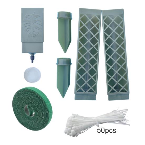 Selbstbewässernde Moosstäbe für Kletterpflanzen Innen D-Form Pflanzenstützpfahl-Set Halbtransparent Monstera-Stütze