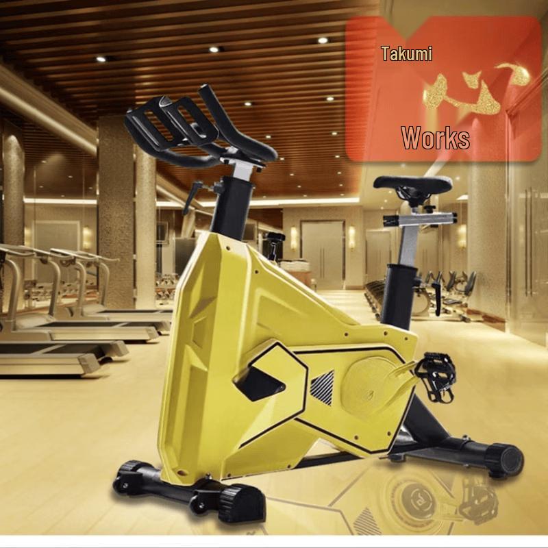 TLXT Bumblebee Indoor Exercise Bike CN plug (adapter included)