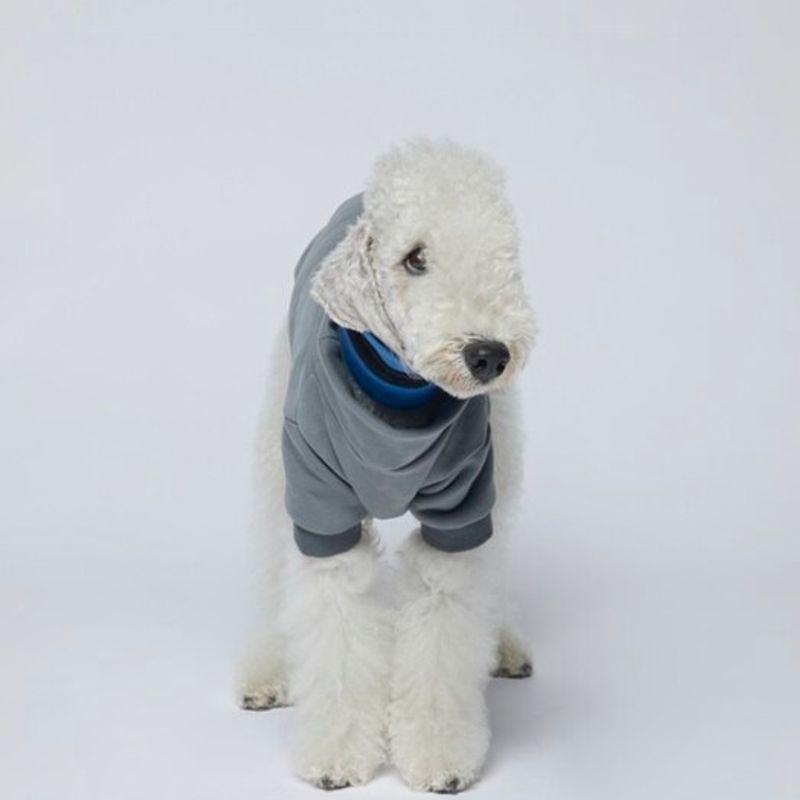 Sweatshirt de base Art Terre Cœur - Gris