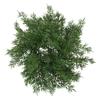 Norfolk Pine Garland Artificial Snow Pine Garland for Christmas Home Table Centerpieces Christmas Candle Rings Wreath