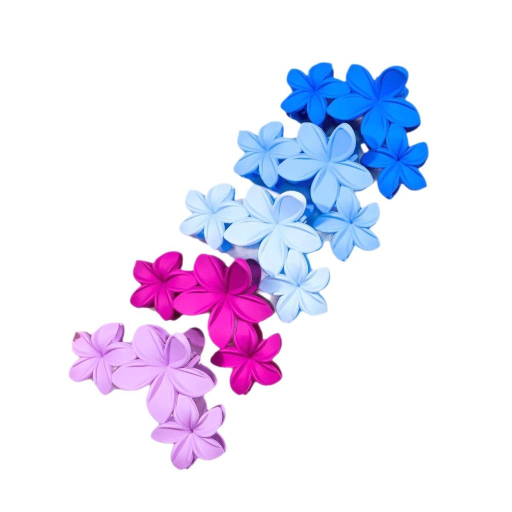Frosted Mini Hair Claw Clips 2-Pack - Small Shark Hair Accessories for High Ponytails