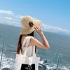 Foldable Flower Sun Hat Wide Brim Weave Straw Cap Simple Lafite Straw Hat  Travel