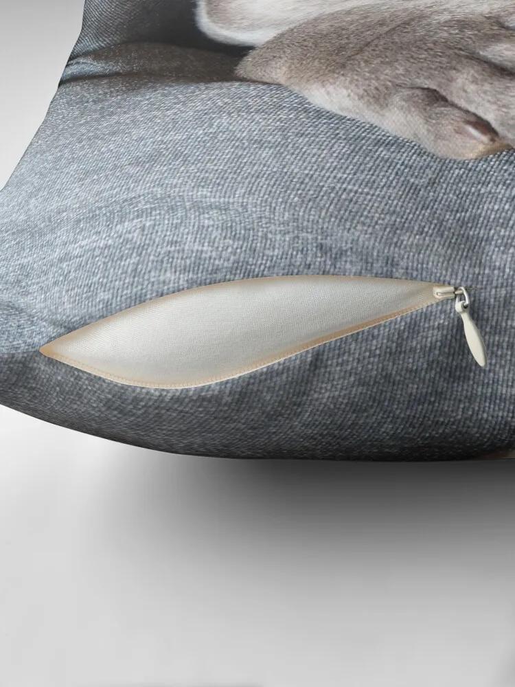 Gorgeous Sleeping Blue Staffy Puppy Throw Pillow Couch Pillows Rectangular Cushion Cover