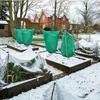Winter Plant Protection Cover Outdoor Antifreeze Tree Shrub Protection With Zip Drawstring Non-woven Thickened Garden Plant Care