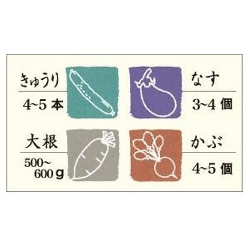 Risu Instant Pickle Container, Square, Green, 1.6L, Hi-Pet, Recipe Included, Made in Japan, S-16