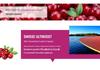 Swisspure Cranberry Probiotic Capsules - 30 Count for Women's Urinary Health