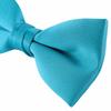 [Bowties jp] Selectable Color Bow Tie [Bowties.jp] (Caribbean Blue)