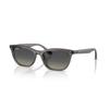 RB4474D-667511-54 Sun-blocking Sunglasses