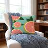 Grapefruitillustration Cushion Cover Anti-Dust Mite Short Plush Pillowcase - Invisible Zipper Silky Soft Sofa Cushion Cover