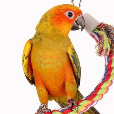 Parrot Chewing Toy Training Swing Chewing Rotating Climbing Rope Pet Supplies Thickened Color Cotton Rope Toy