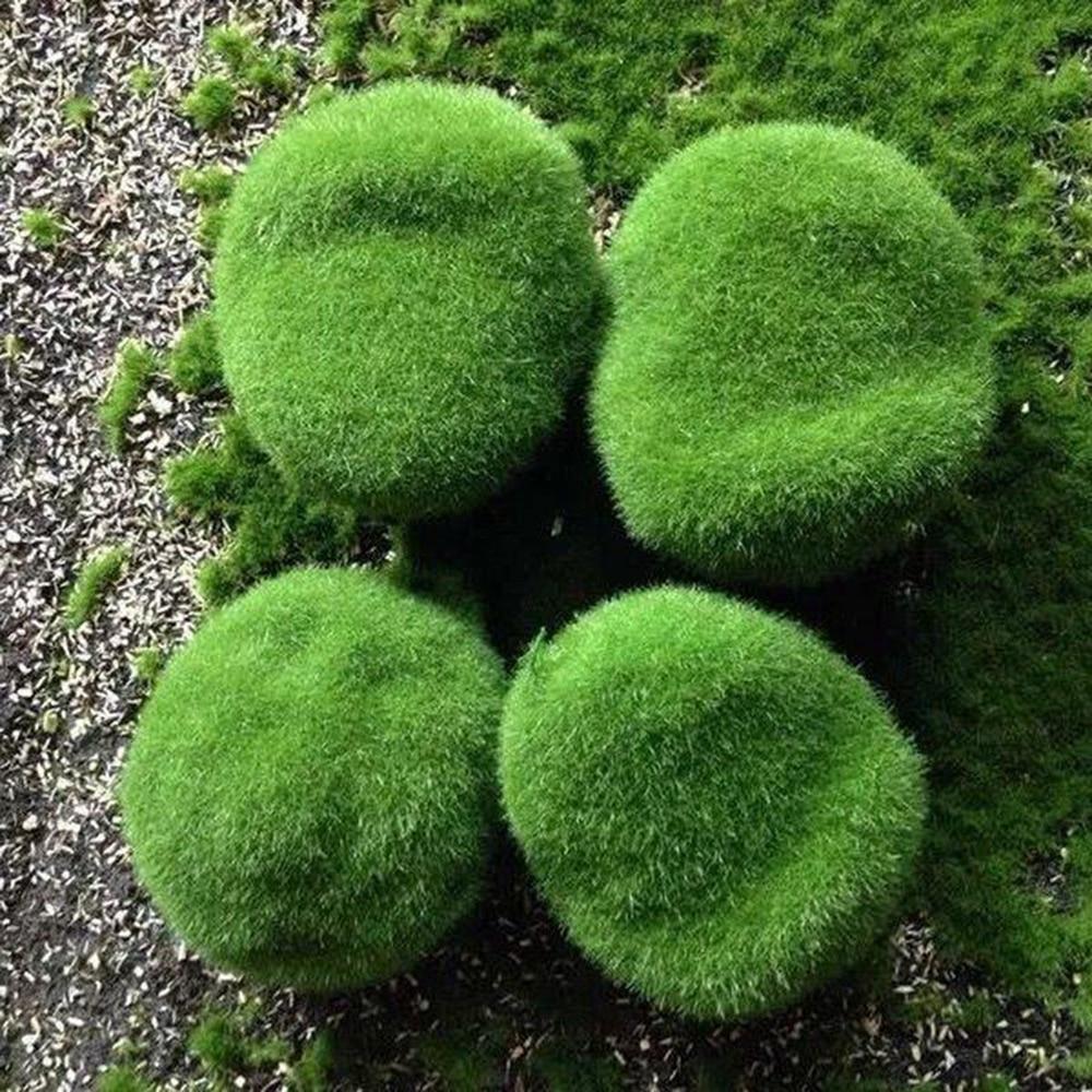 6Pc Artificial Moss Stone Simulation Fairy Garden Decor Miniatures Bonsai Terrarium Succulent Gnomes Fake Moss Home Decoration