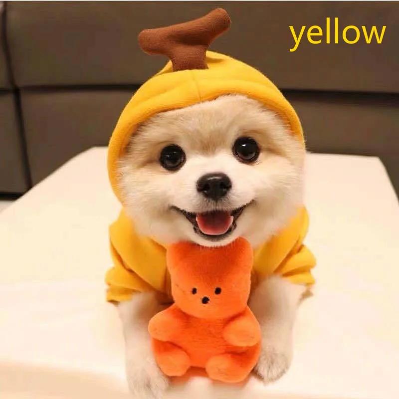 

Dog Sweater Thin Pet Clothes Kitten Dog Clothes Fruit Sweater Dogs Cats Fruits Pets Autumn and Winter Sweaters L жёлтый