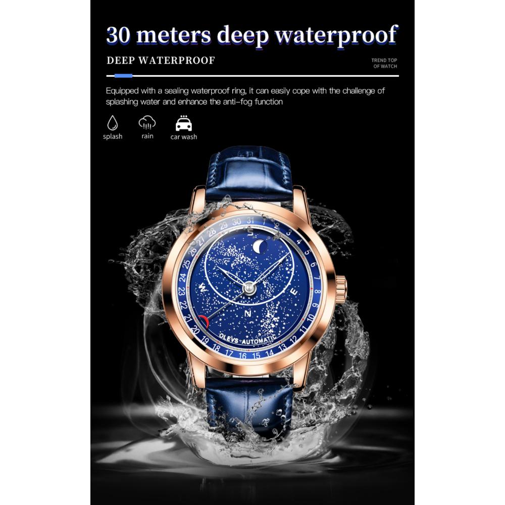 OLEVS New Business and Leisure Watch Automatic Mechanical Starry Sky Second Dial Luminous Men's Watch