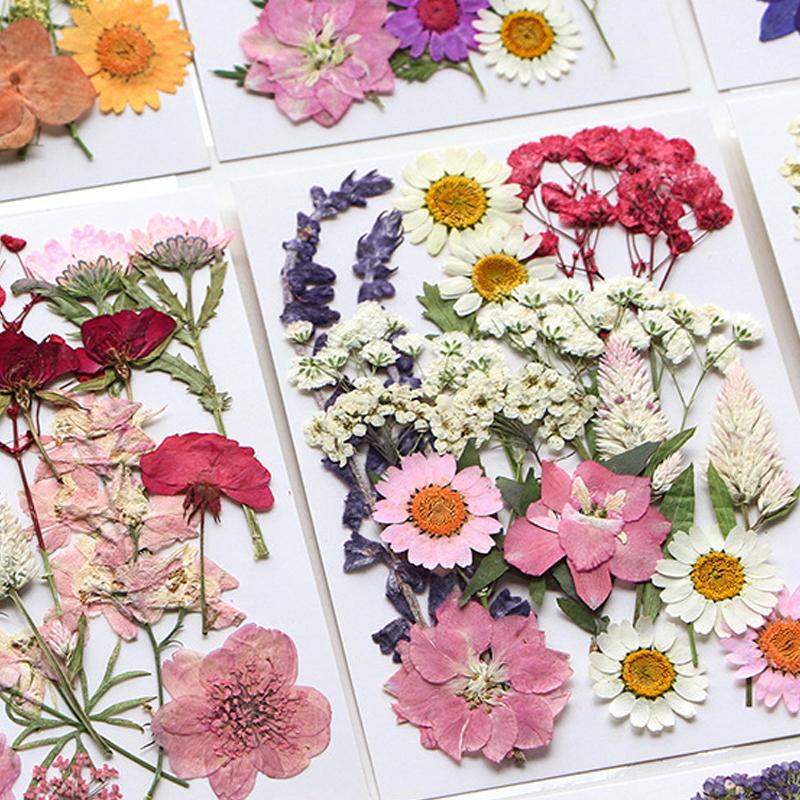 Pressed flower and dried flower craft kit, facial decoration for eye corner photo props, DIY resin photo frame with petals