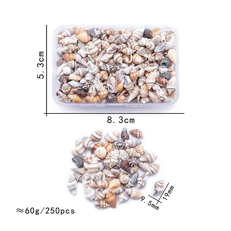 

1 Коробка Морские Ракушки Спиральные Ракушки Крошечные Океанские Спиральные Морские Ракушки Поделки Украшение для Аквариума Ландшафтные Аксессуары Реквизит для Фотографии