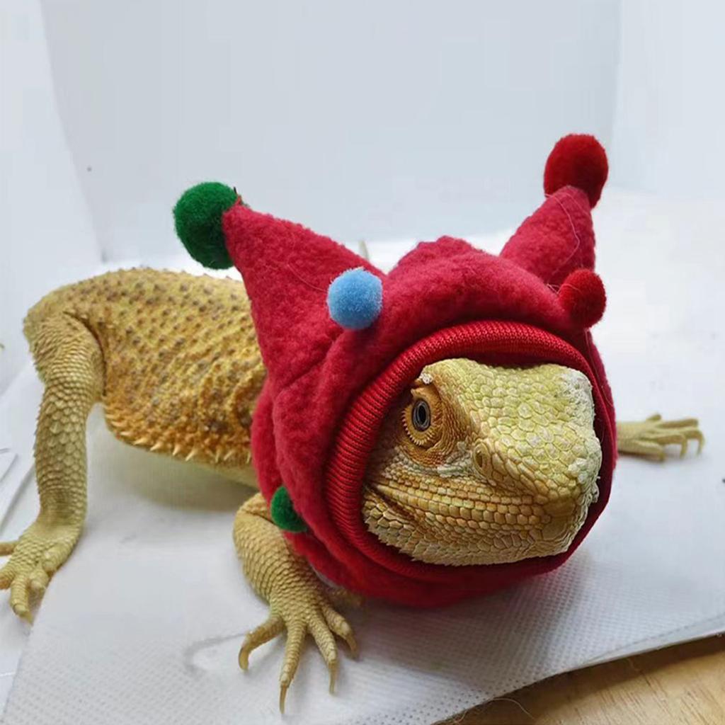 Reptilien Hut Modischer Pompon Verstellbarer Riemen Bartagame Foto-Requisiten für Reptilien-Enthusiasten