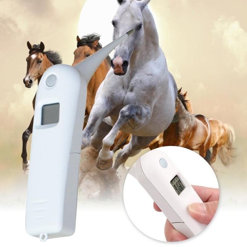 Veterinary Thermometer with Probe Accurate Temps for Horses Sheeps Beeps Alert