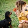 Dog Ball Toy Enrichment Toys For Dogs Motion Active Electric Automatic Fun Ball For Puppies Boredom Relief Fetch Training