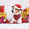 Reversible Design Pet Scarf Buffalo Plaid Pet Neckerchief  Christmas Decoration