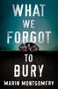 The What We Forgot To Bury Book