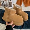 European Station 2025 Winter New Kapibara Frosted Leather Thickened Snow Cotton Boots Bread Shoes Small Women's Shoes