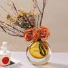 Nordic Vases Modern Flower Bottle Glass Minimalist Flower Vase Luxury Flowerpots Design Table Decoration Interior Accessories