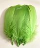 Large Soft Goose Feathers 14-18cm for DIY Dreamcatchers, Flowers & Crafts