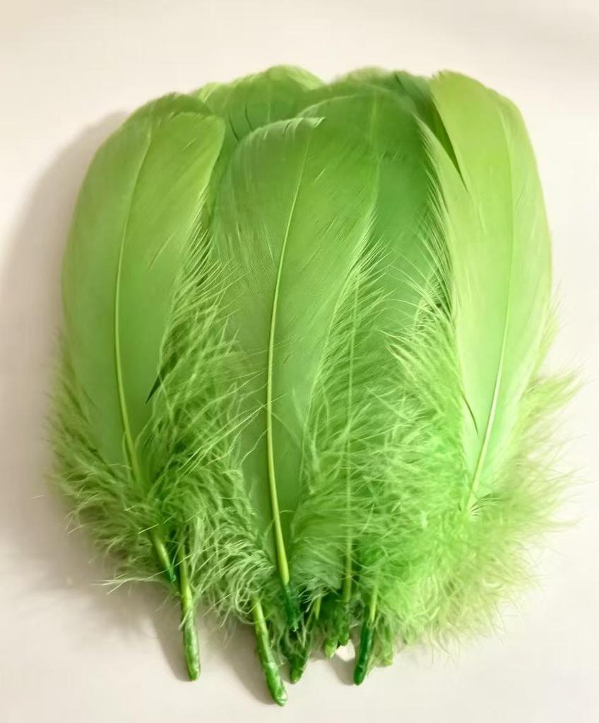 Large Soft Goose Feathers 14-18cm for DIY Dreamcatchers, Flowers & Crafts