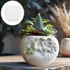 2025 Santa Claus Reindeer Relief Succulent Plant Flowerpot Resin Silicone Mold Deer Candle Cup Christmas Gift Box Gypsum Molds