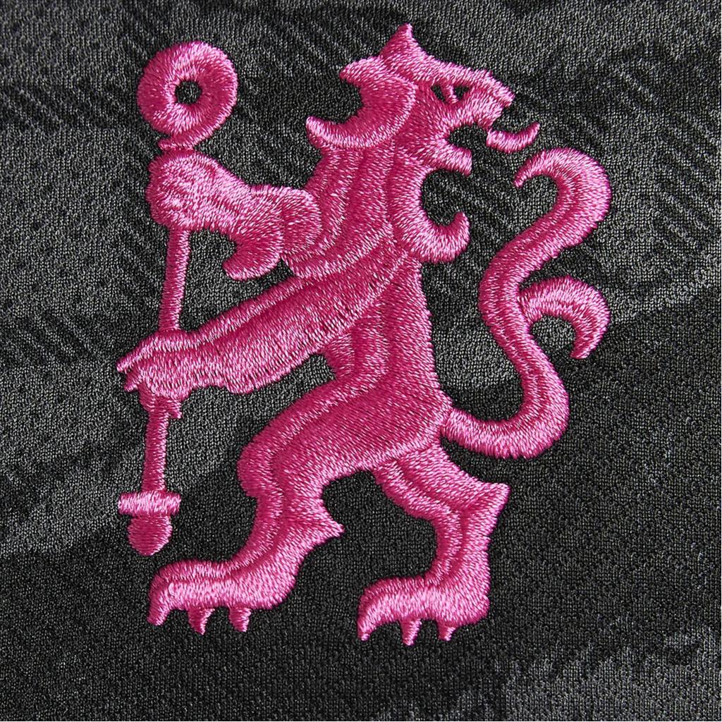 Nike Chelsea FC Dri-Fit FW24 Stadium Third V-Neck Replica Short Sleeve Football Shirt Men Tops Dark-Gray FQ2029061