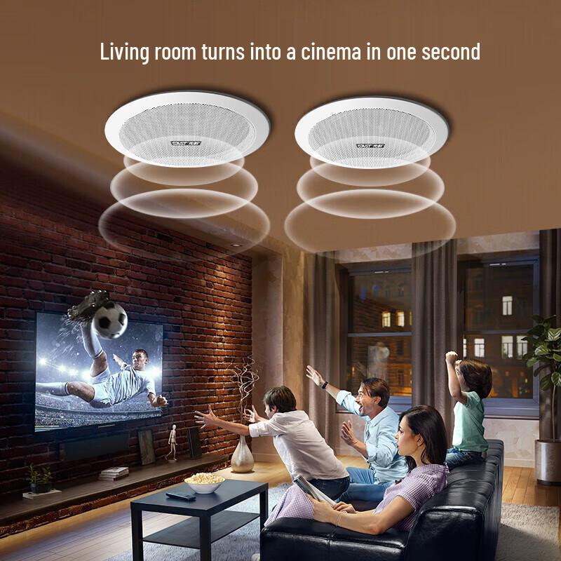 SAST D30 Wireless Bluetooth Embedded Ceiling Speaker System