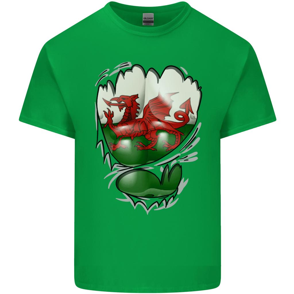 Gym The Welsh Flag Ripped Muscles Wales Unisexs Light Cotton TShirt