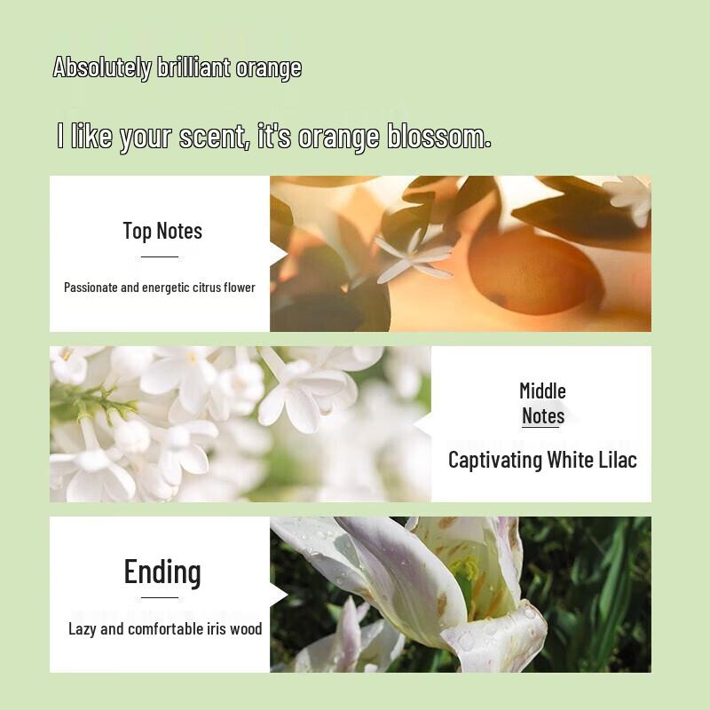 Baiting Lemon Oil Control Shampoo