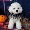 Halloween Haustier Welpe Spitze Schal Feiertags Halsband für Katzen Hunde Spitze Haustier Sabbertuch Kürbis Schneeflocke Feiertagsdekoration Zubehör