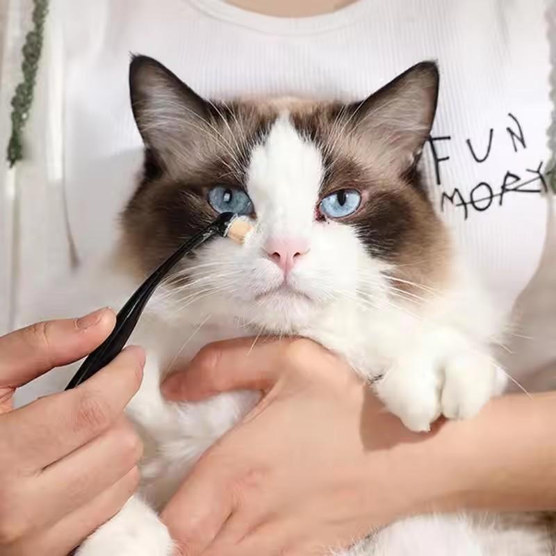 Peigne pour les yeux d'animaux de compagnie chiens Brosse anti-taches de larmes pour animaux de compagnie Brosse de nettoyage des yeux d'animaux de compagnie Accessoires de nettoyage Enlève les croûtes le mucus pour petit chat chien