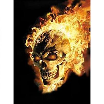 Pittura diamante completo 5D fai da te teschio in fiamme diamante ricamo punto croce completo decorazioni per la casa regalo fatto a mano