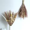Nordic Style Mixed Dried Flower Bouquets with Reeds, Dusters, Golden Balls, and Lagurus Ornaments for Home Decor.