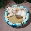 Cartoon Pattern Dog Sleeping Bed Round Pet Ice Mat Cute Pet Cooling Nest for Dogs Cats Rabbits