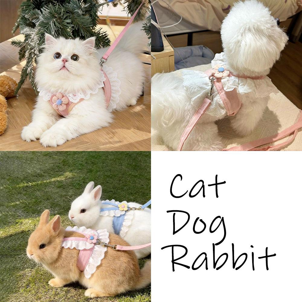Joli Ensemble Harnais et Laisse Style Princesse pour Chat Chien Lapin Animal de Compagnie Harnais pour Sortie Accessoire Chat
