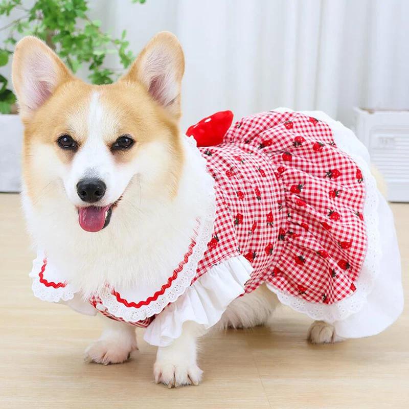 Cute Dog Strawberry Dress Ins Style Summer Spring Small Dog Plaid Strawberry Pattern Pet Clothes Cat Puppy Apparel Red Pink