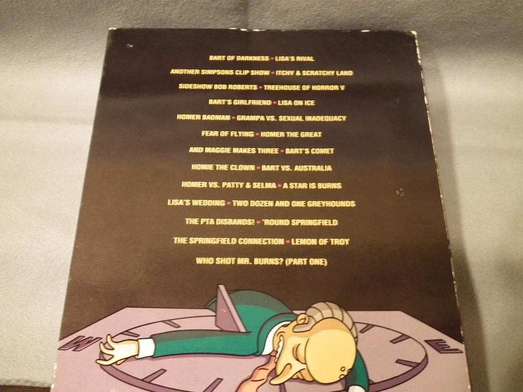 The Simpsons Season 6 DVD Box Collector's