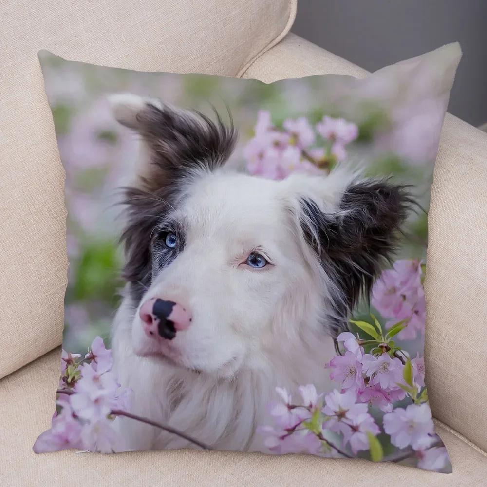 Cute Pet Animal  Cushion Cover Scotland Border Collie Pillowcase for Sofa Car Decor Dog Printed Soft Plush Pillow Case