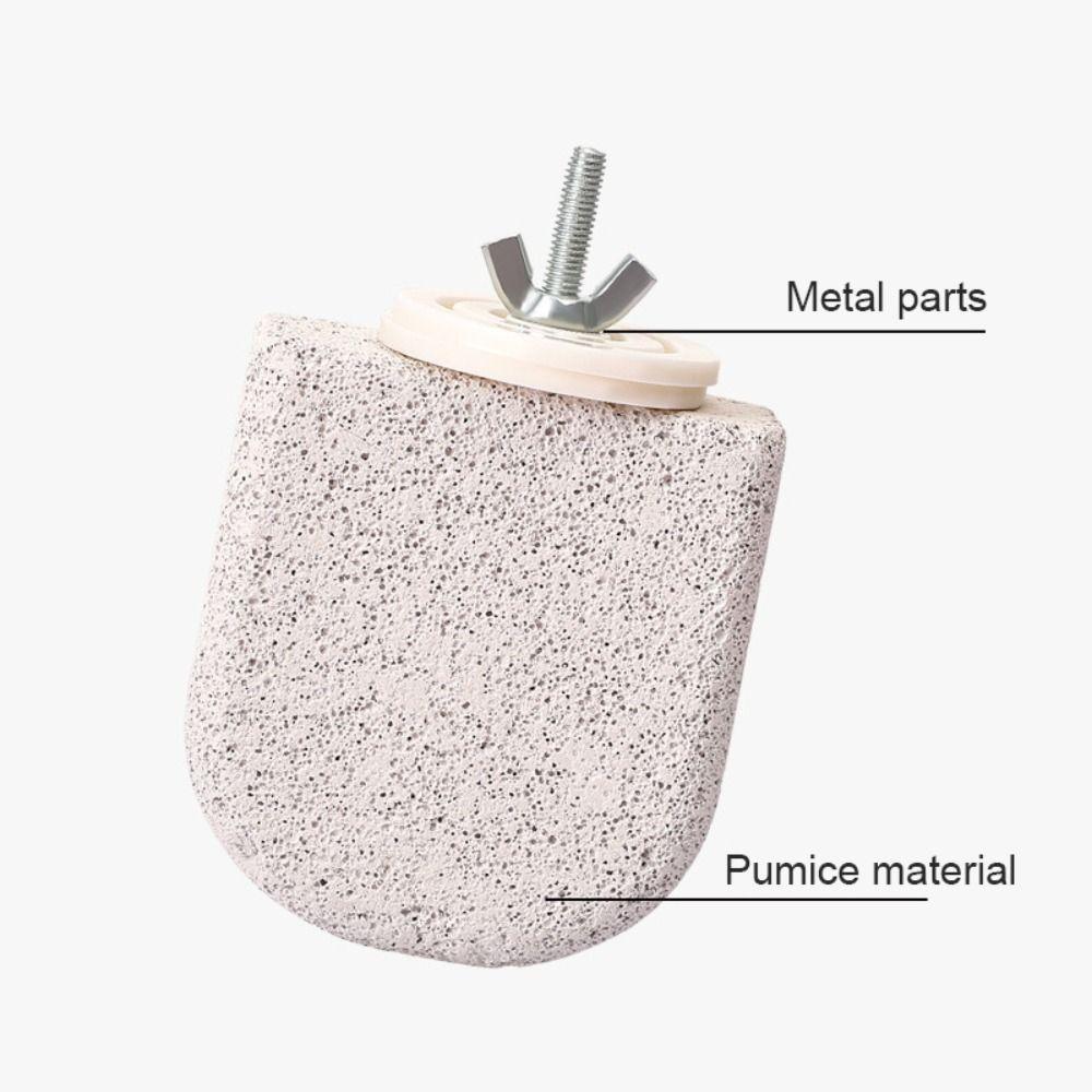 Tooth Grinding Parrot Stand Board Pumice Bird Resting Platform Durable Bird Perch Stand  Budgie