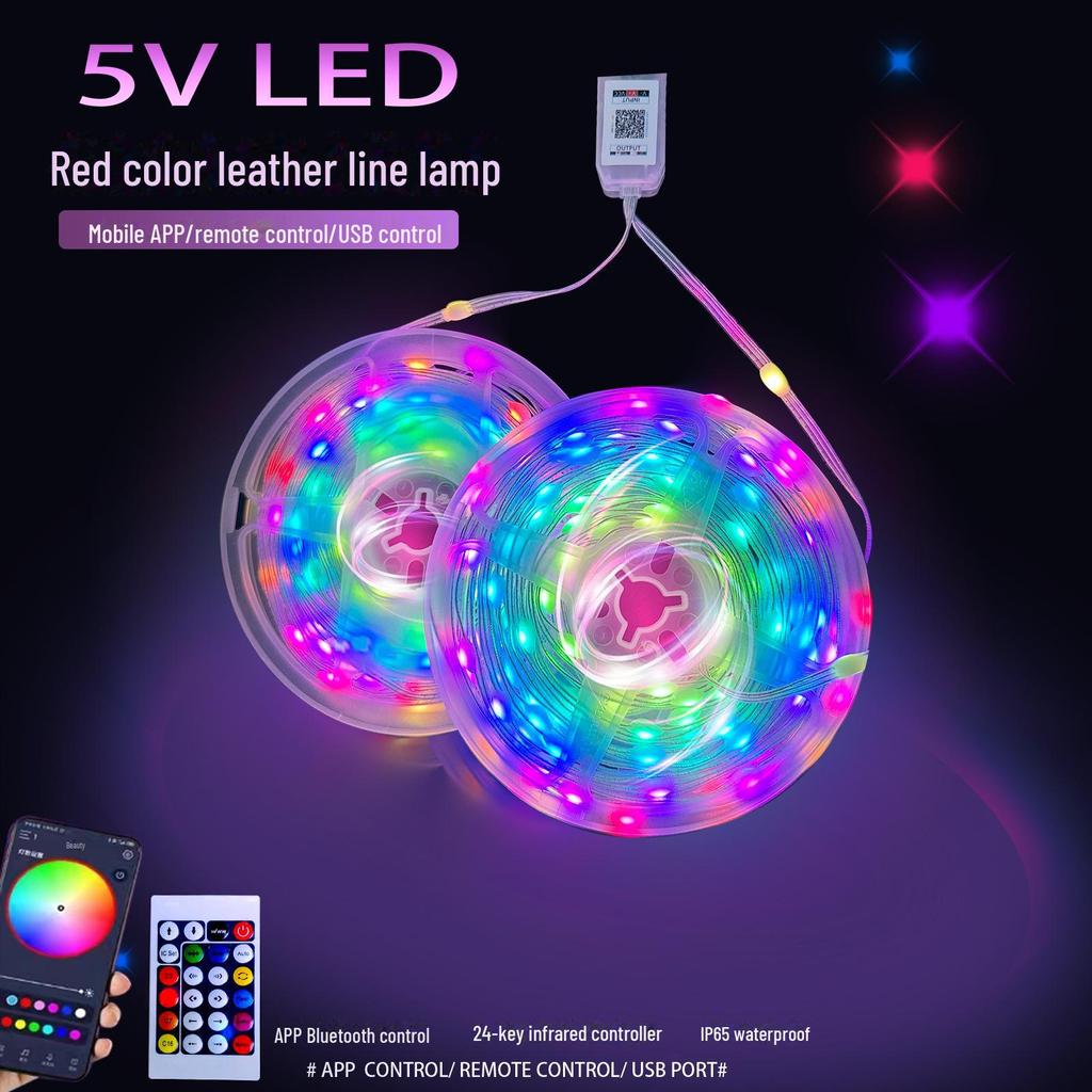 Magic Color LED String Lights: 5V Low Voltage, Waterproof, Bluetooth App & Voice Controlled, Christmas & Decorative Lighting