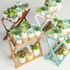 Multilayer Wooden Plant Stand Flower Pots Succulent Display Planter Holder Shelf Organizer for Living Room Outdoor Furniture